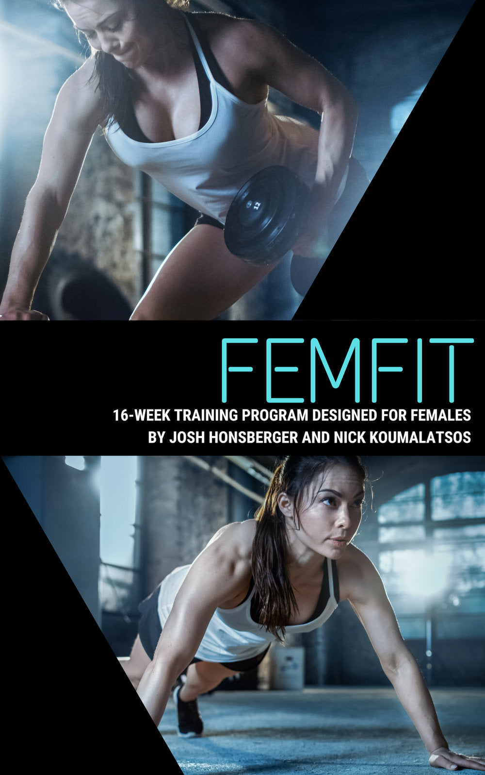 FEMFIT 16 WEEK TRAINING PROGRAM FOR FEMALES (Paperback)